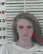 Booking photo of April Bernice Chambers, Carter County, Mar 26, 2016