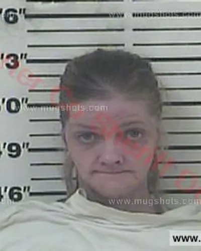 Booking photo of Sarah Baily, Carter County, Jan 18, 2017