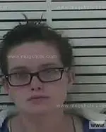 Booking photo of Ashley Brooke Galloway, Carter County, Nov 22, 2013