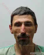 Booking photo of Wilson Lee Mayse, Carter County, Feb 14, 2020