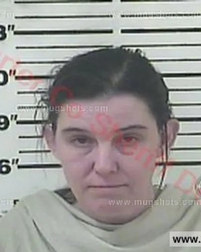 Booking photo of Rebecca Grant, Carter County, Feb 24, 2017