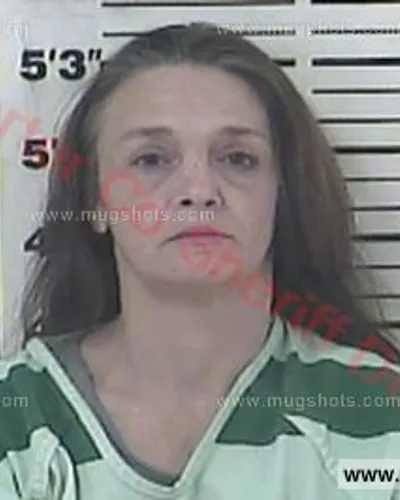 Booking photo of Tammy Lynn Butler, Carter County, Dec 29, 2017