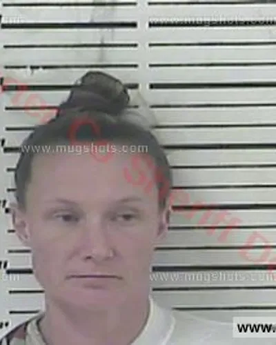 Booking photo of Lee Adams, Carter County, Dec 30, 2017