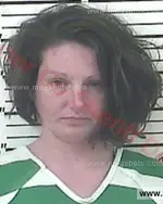 Booking photo of Heather Beth Williams, Carter County, May 14, 2016