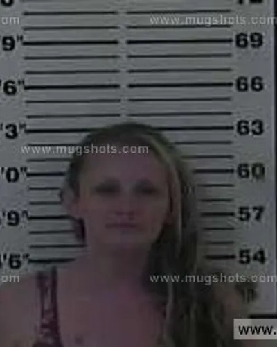 Booking photo of April Ann Dishner, Carter County, Jan 8, 2015