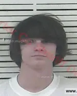 Booking photo of Dylan Brandon Sawyer, Carter County, Jan 13, 2018