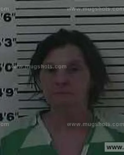 Booking photo of Lisa Lee, Carter County, Mar 9, 2014