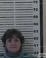 Booking photo of Lori Anne Turner, Carter County, Jan 24, 2014