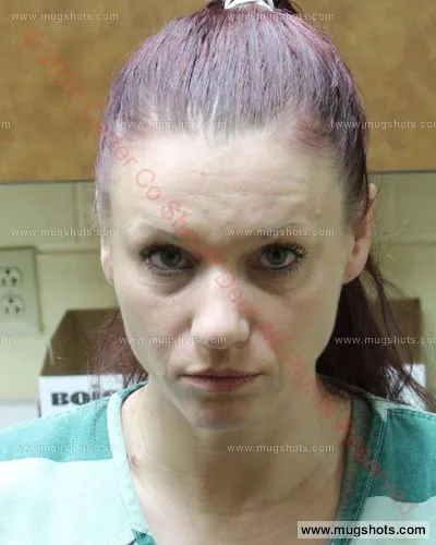 Most recent booking photo for Meredith Anne Deloach