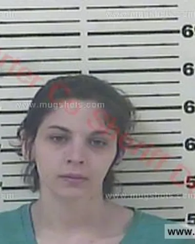 Booking photo of Alexis Renfro, Carter County, Apr 24, 2016