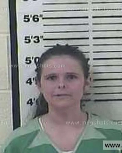 Booking photo of Ashley Hately, Carter County, Jun 8, 2015