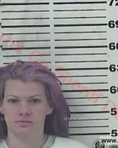 Booking photo of Ashley Danielle Orren, Carter County, Jun 5, 2018