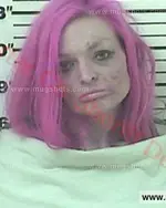 Booking photo of Terry Loiuse Vanosdol, Carter County, Mar 14, 2017