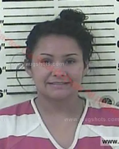 Booking photo of Crystal Marie Arnold, Carter County, Aug 29, 2015