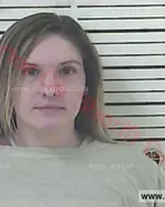 Booking photo of Heather Michelle Birchfield, Carter County, Mar 25, 2017