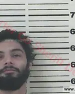 Booking photo of George Ian Yourgulez, Carter County, Jan 4, 2017