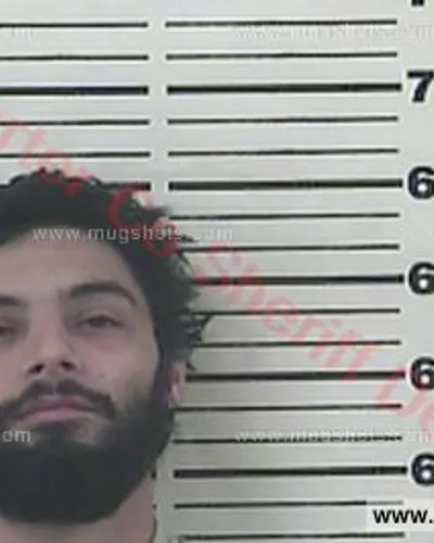 Booking photo of George Ian Yourgulez, Carter County, Jan 4, 2017