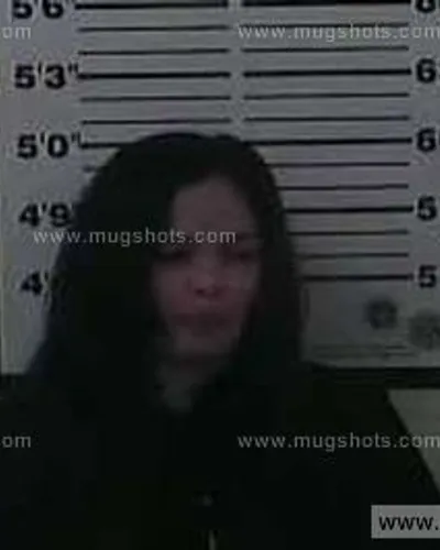 Booking photo of Edith Silva, Carter County, Nov 11, 2014