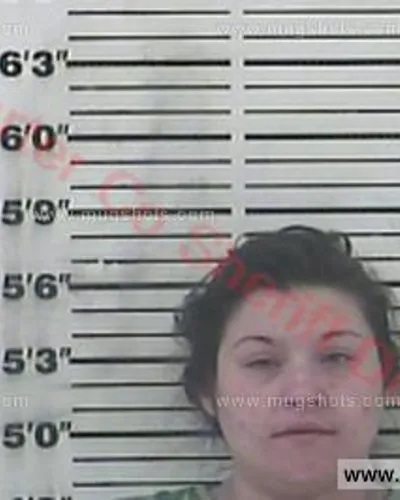 Booking photo of Lindsey Lee Perry, Carter County, Apr 13, 2018