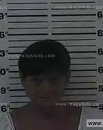Booking photo of Cynthia Ann Andes, Carter County, May 23, 2014