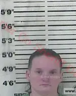 Booking photo of Amanda Kay Lunceford, Carter County, Jun 14, 2018