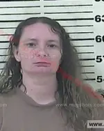 Booking photo of Crystal Amanda Poore, Carter County, Aug 24, 2015