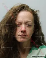 Booking photo of Jennifer Ann Hamilton, Carter County, Feb 6, 2020