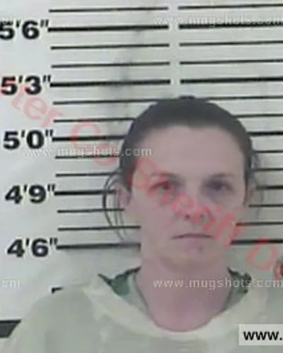 Booking photo of Heather Bowman, Carter County, Feb 23, 2016
