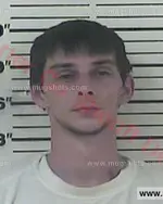 Booking photo of Samuel David Bowers, Carter County, Jul 6, 2017