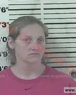 Booking photo of April Dawn Metcalf, Carter County, Dec 4, 2015