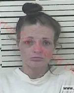 Booking photo of Terry Loiuse Vanosdol, Carter County, Jun 9, 2016