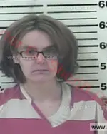 Booking photo of Heather Nicole Riddle-Hicks, Carter County, Feb 13, 2016