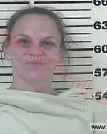 Booking photo of Tammie Elizabeth Blevins, Carter County, Jun 12, 2017