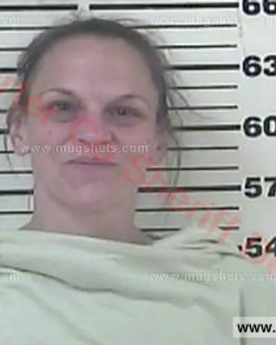 Booking photo of Tammie Elizabeth Blevins, Carter County, Jun 12, 2017