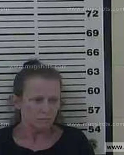 Booking photo of Veronica Lynn Mocilan, Carter County, Apr 3, 2014