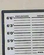 Booking photo of Terri Lynn Montgomery, Carter County, Jun 15, 2015