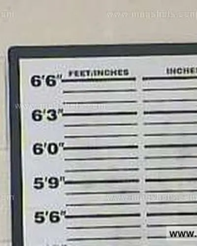 Booking photo of Terri Lynn Montgomery, Carter County, Jun 15, 2015