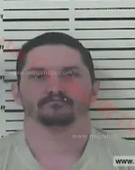 Booking photo of NATHANIEL CLINTON GIBSON, Carter County, Mar 15, 2017