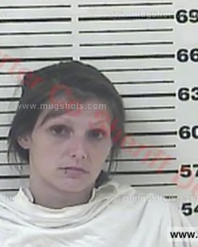 Booking photo of Melissa Louise Ollis, Carter County, May 29, 2016