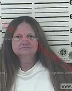 Booking photo of Teresa Serena Honeycutt, Carter County, Jun 20, 2016