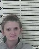 Booking photo of April Bernice Chambers, Carter County, Apr 3, 2015