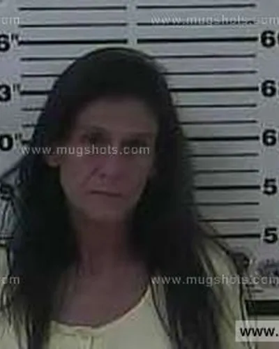 Booking photo of Lisa Hitechew, Carter County, Aug 22, 2013