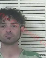 Booking photo of WESLEY Alan THOMAS, Carter County, Apr 13, 2017