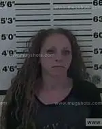 Booking photo of SYLVIA LOUISE REECE, Carter County, Feb 19, 2014