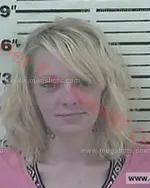 Booking photo of Sarah Denise Clawson, Carter County, Feb 24, 2017