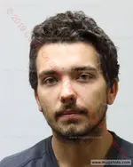 Booking photo of William Daniel Jacob Gowin, Carter County, Feb 8, 2019