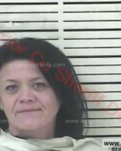 Booking photo of Laura Erickson, Carter County, Aug 2, 2017