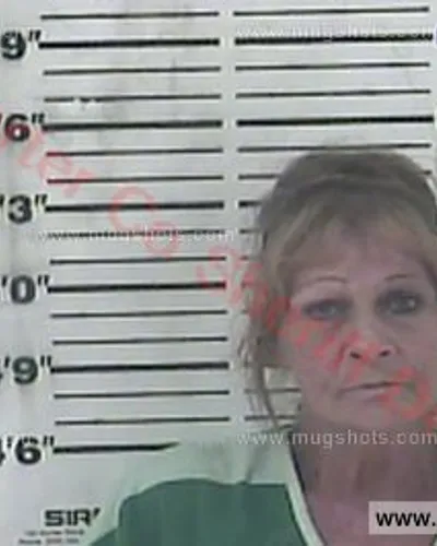 Booking photo of Shelia Blackburn-Barnes, Carter County, May 29, 2018