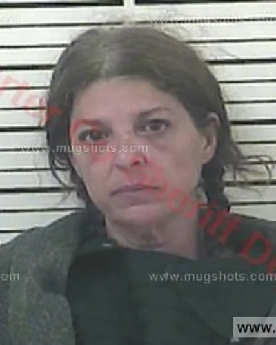 Booking photo of Babette Brawner, Carter County, Jun 3, 2016