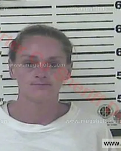 Most recent booking photo for Alisha Diane Campbell